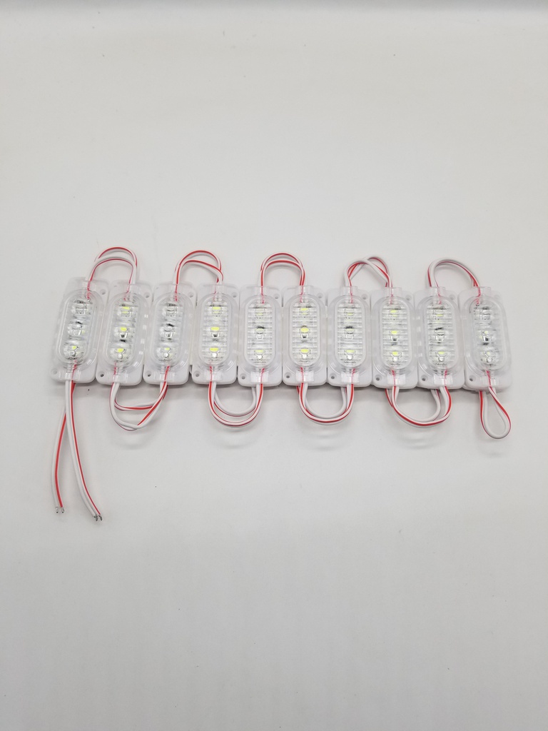 MODULE LIGHTS WHITE (24V)