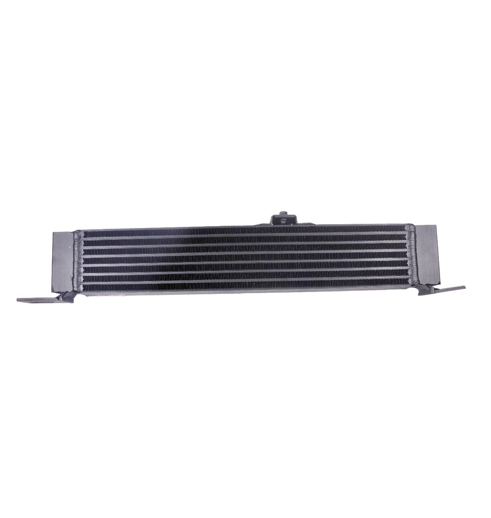 RADIATEUR D HUILE 307