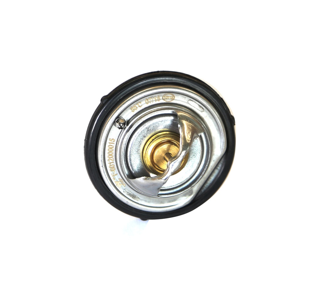 THERMOSTAT BZ SPRINTER/207/W124/W140/W202/W210