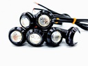 LED DECORE CALANDRE (Prix /pcs)